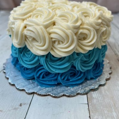 Ombre Smash Cake(3 color max) $35